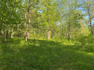 4 Acres For Sale Along Kettle River in Willow River MN - image 8