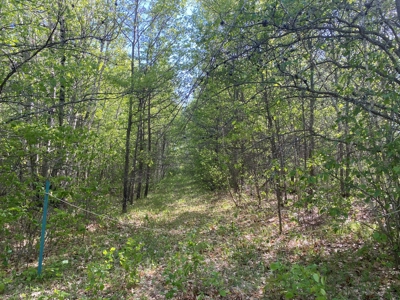 4 Acres For Sale Along Kettle River in Willow River MN - image 12