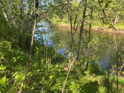 4 Acres For Sale Along Kettle River in Willow River MN - image 3