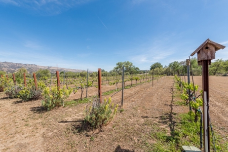 Northern California Country Home & Barn on Acreage For Sale - image 37