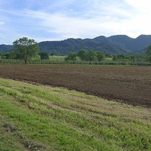 Northern California Country Home & Barn on Acreage For Sale - image 11