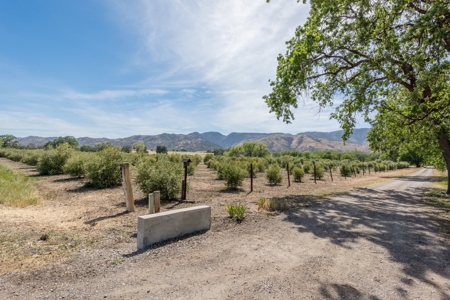Northern California Country Home & Barn on Acreage For Sale - image 12