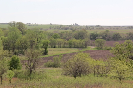 Lyon County, Kansas Land Auction - image 20