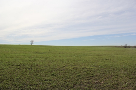 Lyon County, Kansas Land Auction - image 5