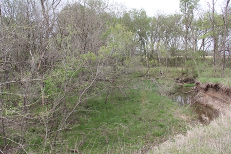 Lyon County, Kansas Land Auction - image 9