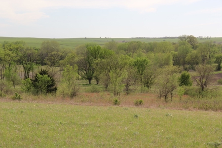 Lyon County, Kansas Land Auction - image 22