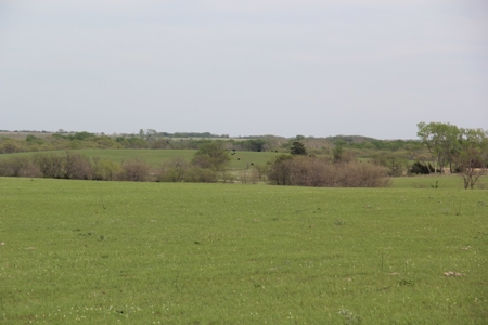 Lyon County, Kansas Land Auction - image 1