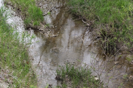 Lyon County, Kansas Land Auction - image 7