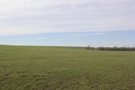Lyon County, Kansas Land Auction - image 4