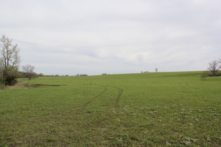 Lyon County, Kansas Land Auction - image 15