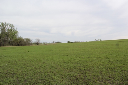 Lyon County, Kansas Land Auction - image 10