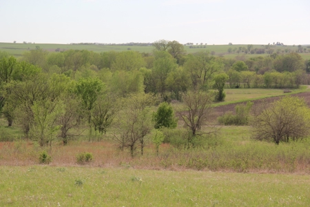 Lyon County, Kansas Land Auction - image 21