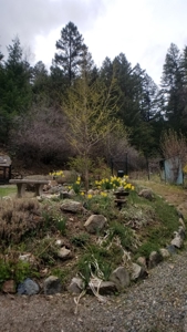 Siskiyou County, Yreka Off Grid Cabin For Sale - image 13