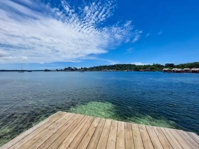 Coastal Bocas del Toro home and cabin,  Isla Bastimentos - image 40