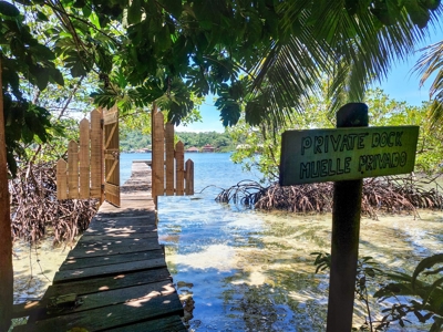 Coastal Bocas del Toro home and cabin,  Isla Bastimentos - image 37