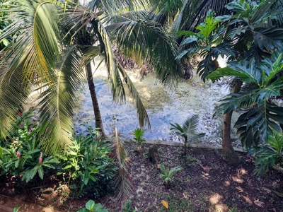Coastal Bocas del Toro home and cabin,  Isla Bastimentos - image 7