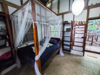 Coastal Bocas del Toro home and cabin,  Isla Bastimentos - image 22