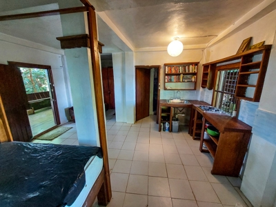 Coastal Bocas del Toro home and cabin,  Isla Bastimentos - image 14