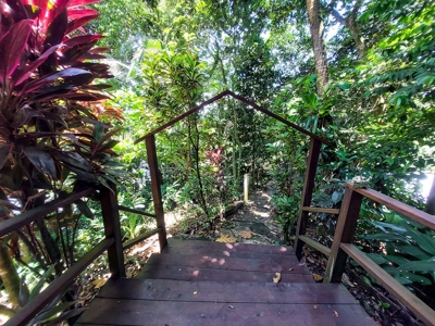 Coastal Bocas del Toro home and cabin,  Isla Bastimentos - image 25