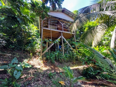 Coastal Bocas del Toro home and cabin,  Isla Bastimentos - image 31
