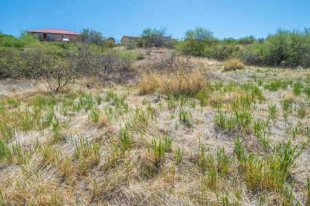 For Sale Lot in Cordes Lakes with Septic - image 3