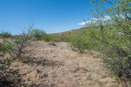 For Sale Lot in Cordes Lakes with Septic - image 4