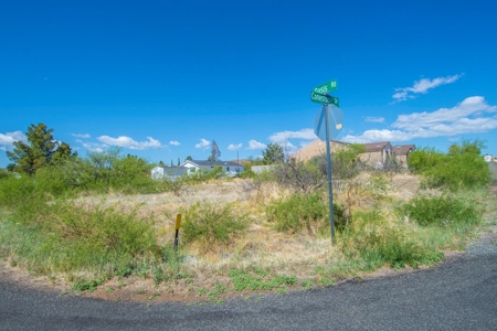 For Sale Small Country Lot in Cordes Lakes with Views - image 1