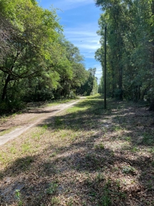 River Subdivision Lot For Sale!! - image 1