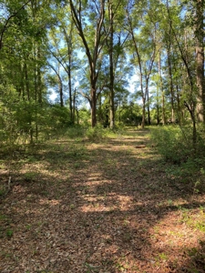 River Subdivision Lot For Sale!! - image 2