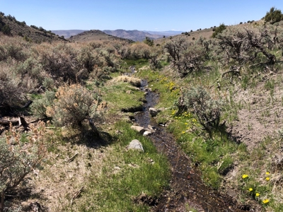 Nevada Buildable Ranch Horse Recreational Property For Sale - image 1