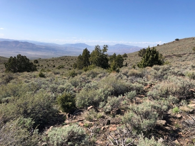 Nevada Buildable Ranch Horse Recreational Property For Sale - image 21