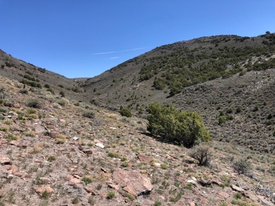 Nevada Buildable Ranch Horse Recreational Property For Sale - image 6