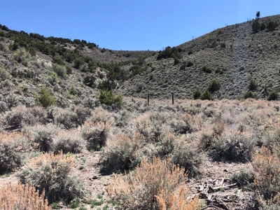 Nevada Buildable Ranch Horse Recreational Property For Sale - image 8