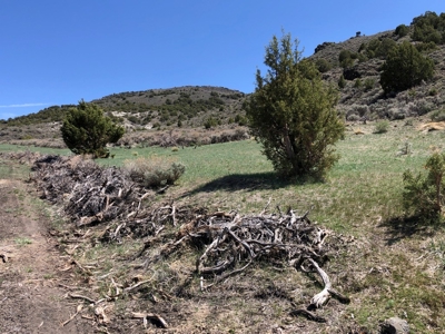 Nevada Buildable Ranch Horse Recreational Property For Sale - image 13