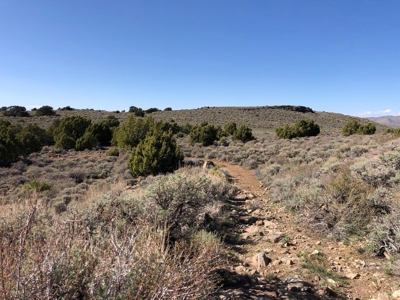 Nevada Buildable Ranch Horse Recreational Property For Sale - image 16