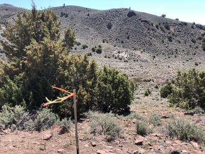 Nevada Buildable Ranch Horse Recreational Property For Sale - image 4