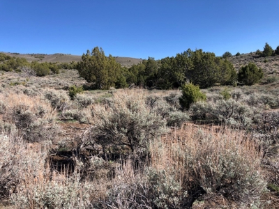 Nevada Buildable Ranch Horse Recreational Property For Sale - image 25