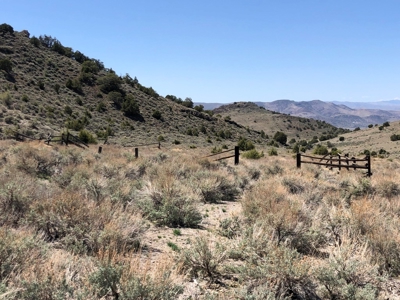 Nevada Buildable Ranch Horse Recreational Property For Sale - image 9