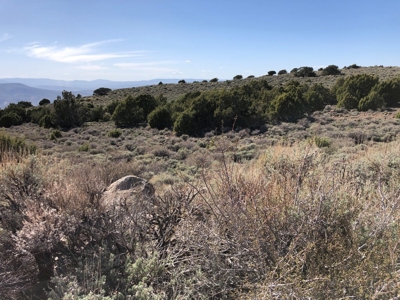 Nevada Buildable Ranch Horse Recreational Property For Sale - image 17