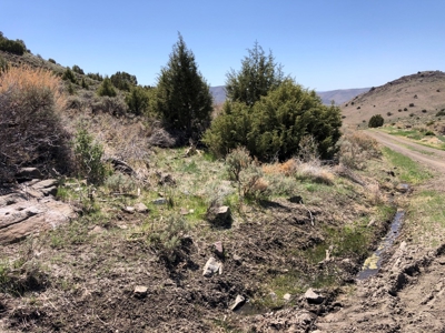 Nevada Buildable Ranch Horse Recreational Property For Sale - image 12