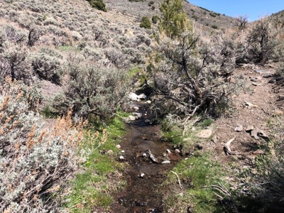 Nevada Buildable Ranch Horse Recreational Property For Sale - image 2