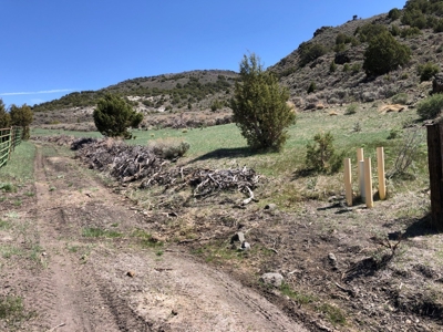 Nevada Buildable Ranch Horse Recreational Property For Sale - image 11
