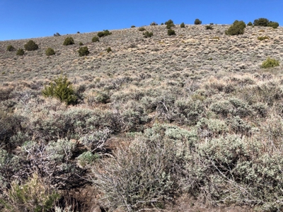 Nevada Buildable Ranch Horse Recreational Property For Sale - image 18