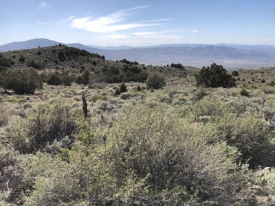 Nevada Buildable Ranch Horse Recreational Property For Sale - image 23
