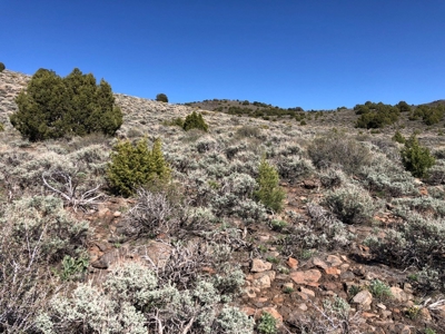Nevada Buildable Ranch Horse Recreational Property For Sale - image 19