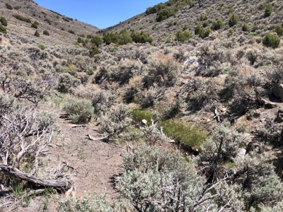 Nevada Buildable Ranch Horse Recreational Property For Sale - image 3