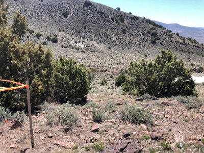 Nevada Buildable Ranch Horse Recreational Property For Sale - image 5
