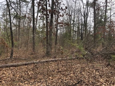 Greers Ferry Lake Area Land For Sale - image 7