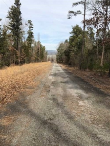 Greers Ferry Lake Area Land For Sale - image 9