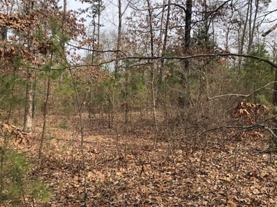 Greers Ferry Lake Area Land For Sale - image 6